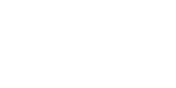 다이렉트 넷 logo